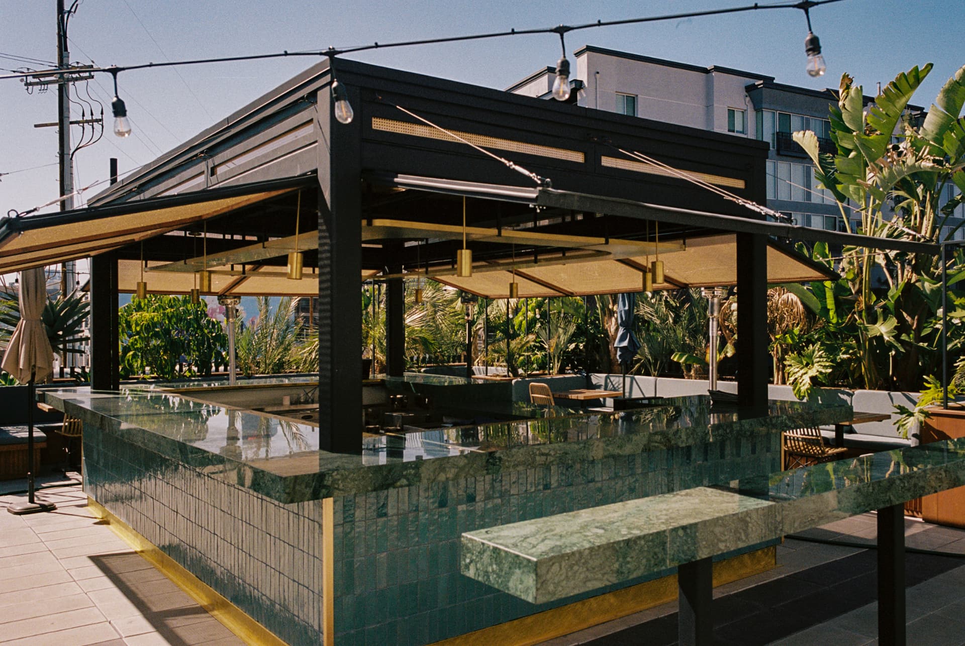 Green-tiled rooftop bar surrounded by palms
