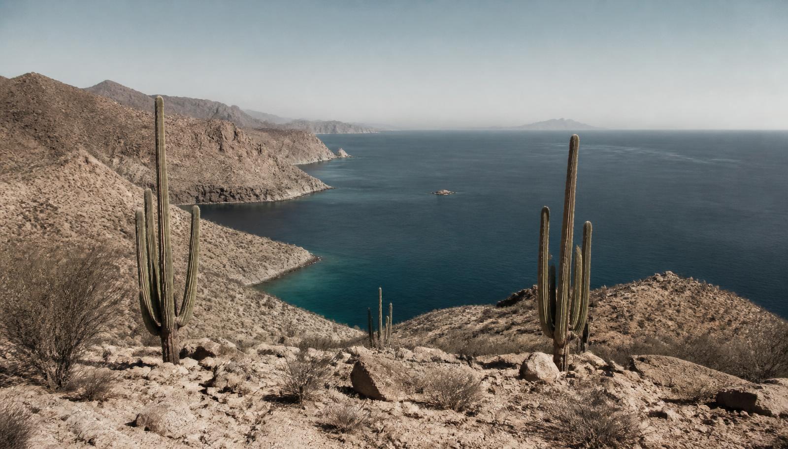The Baja coastline
